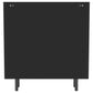 Dalia 2-door Accent Storage Cabinet with Shelving Black