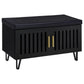 Brixton 2-door Padded Entryway Shoe Storage Bench Black