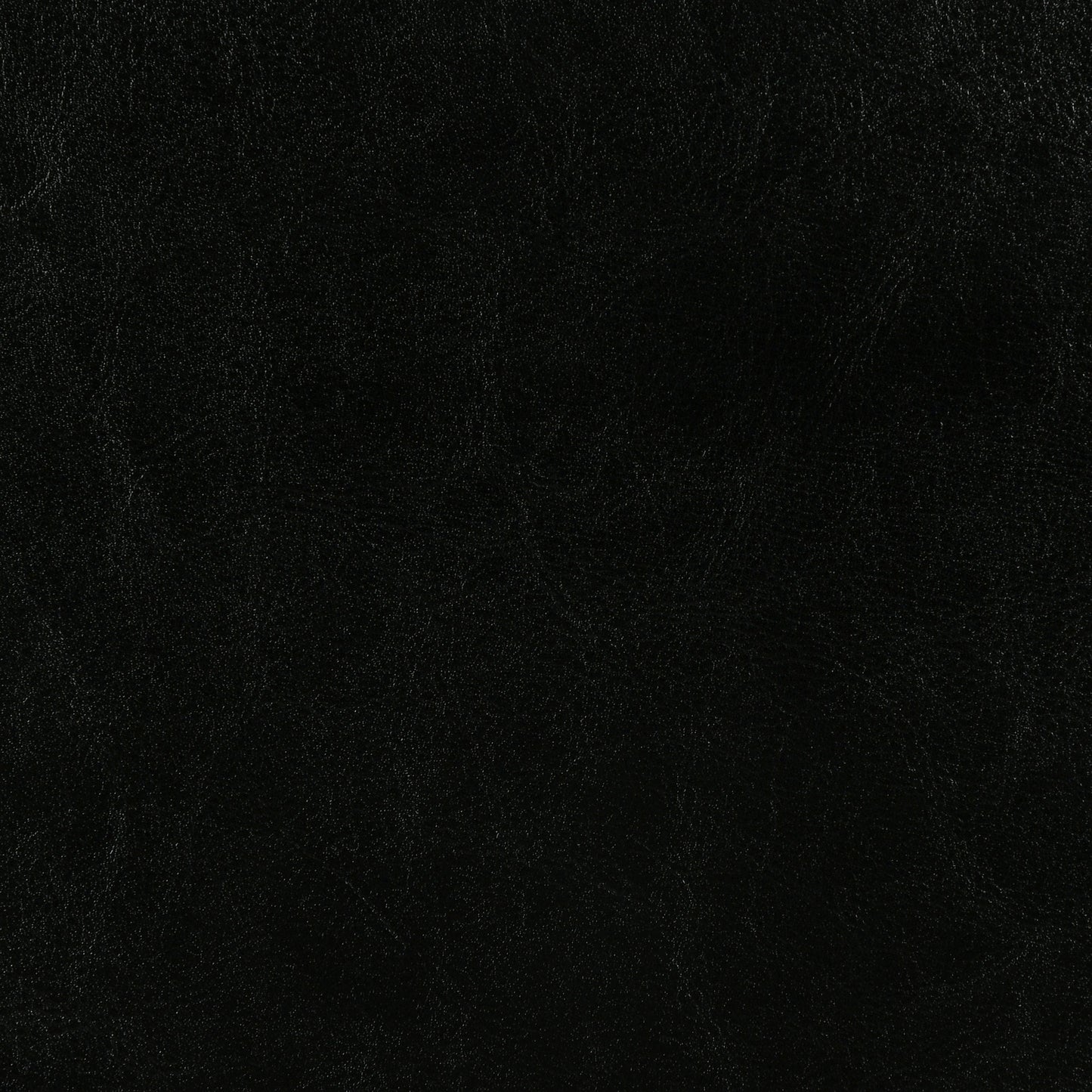 Dorian Upholstered California King Panel Bed Black