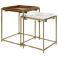 Bolden 2-Piece Square Nesting Table With Recessed Top Gold