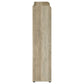 Denia 3-tier Engineered Wood Shoe Cabinet White